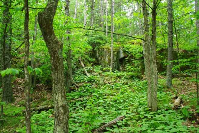 Dave’s Falls County Park is in Marinette County, one mile south of Amberg. One of the falls is a drop of about 10 ft., the other about 6 ft.