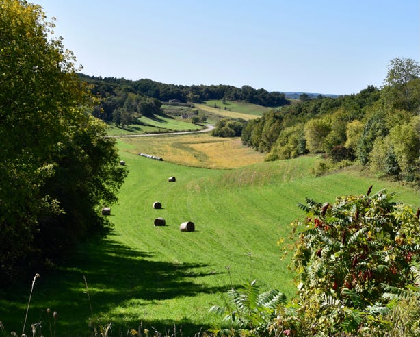 A look down the ridge in Trempealeau