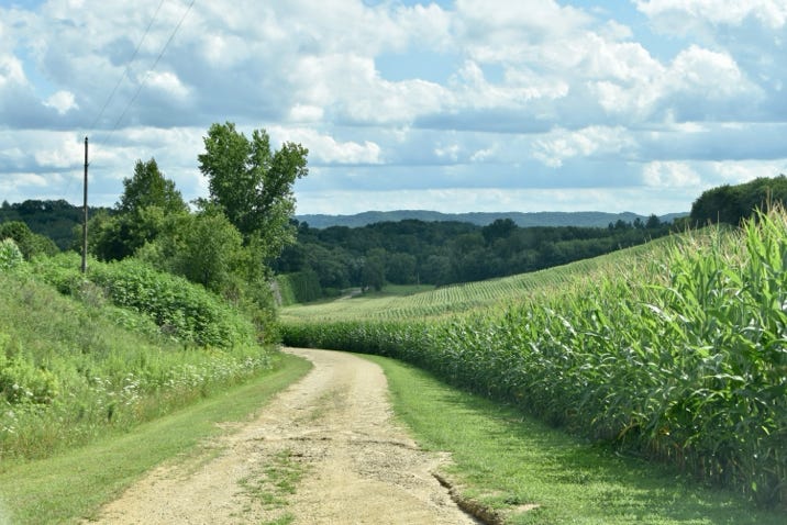 Contour farming artistry near Blair in Trempealeau County