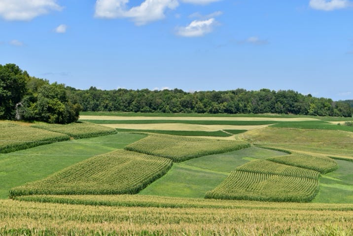 Contour farming artistry near Blair in Trempealeau County