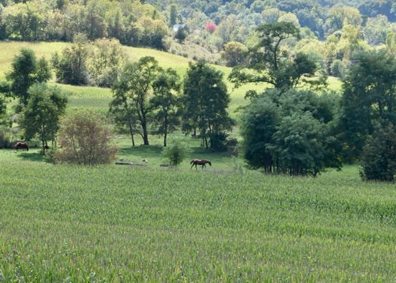 Artistry of contour farming